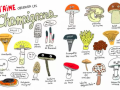 Le-fan-club-des-champignons-2